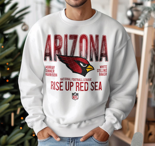NFL Ombre Arizona, Atlanta, Baltimore, Buffalo, Carolina, Chicago, Cincinnati, Cleveland KPI