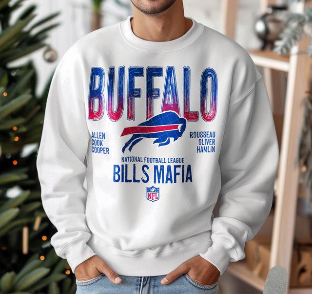 NFL Ombre Arizona, Atlanta, Baltimore, Buffalo, Carolina, Chicago, Cincinnati, Cleveland KPI