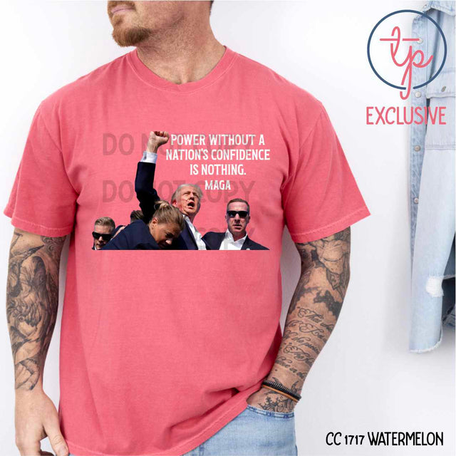 Power Without a Nation's Confidence Trump