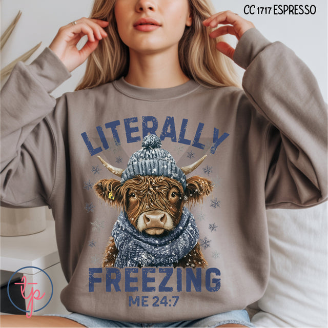 Literally Freezing Highland Cow