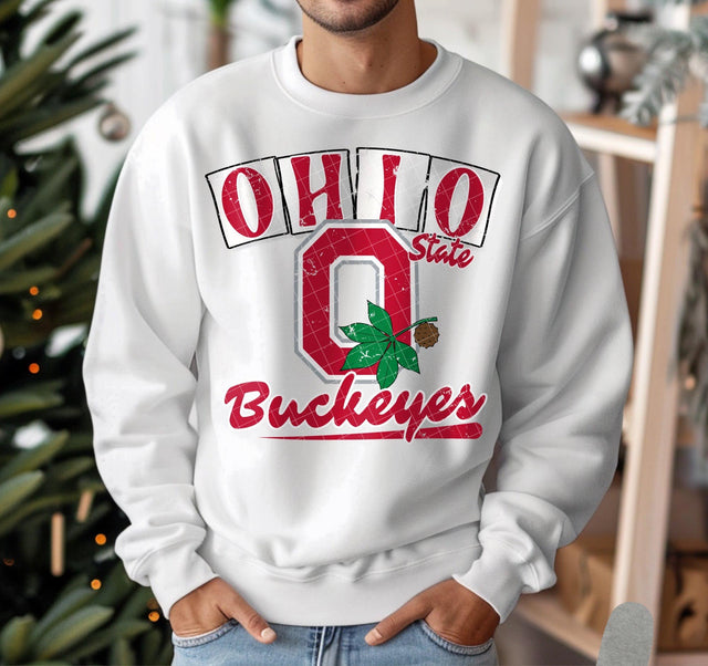 Ohio State Buckeyes Stamp KPI