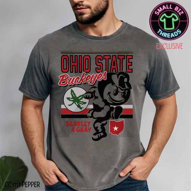 Ohio State Buckeyes Scarlet and Gray