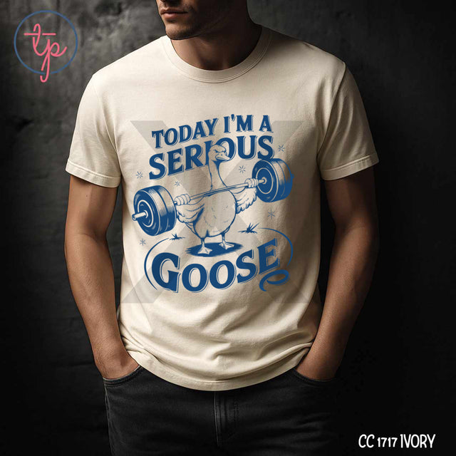 Today I'm a Serious Goose